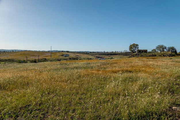 Prado hermoso del paisaje en la región de Algarve