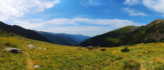 Prado im Valle del Riu in Andorra