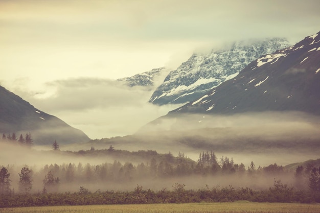 Prado de montaña en Alaska, EE.UU.