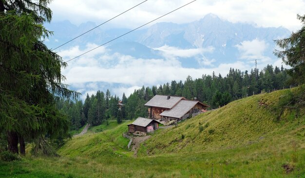 Prado de la naturaleza en las montañas de los alpes austríacos