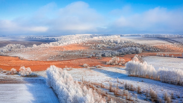 Prado nevado con franjas de bosque y campos agrarios vacíos. Paisaje de invierno