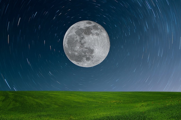 Prado por la noche a la luz de la luna llena. Paisaje con campo verde y estrella.