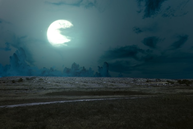 Prado con nubes y luz de luna por la noche.