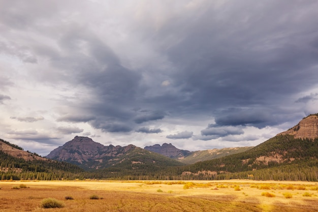 Prado de otoño soleado en las montañas. Wyoming, Estados Unidos.