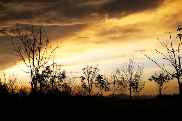 Prado seco e lindo céu nublado