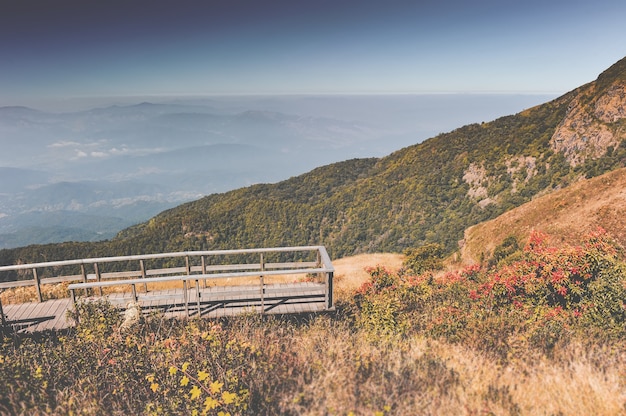 Prado seco de montaña, paisaje de nubes de niebla y puente de madera.