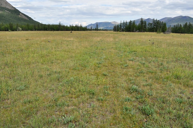 Prado en el valle entre las montañas de Yakutia