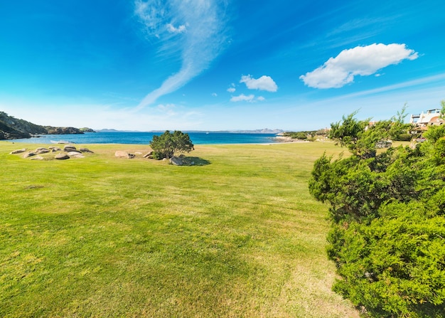 Prado verde en Cala del Faro