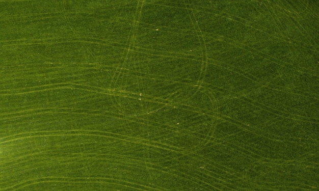 Foto prado verde en el campo, vista superior con un dron. textura de fondo verde prado