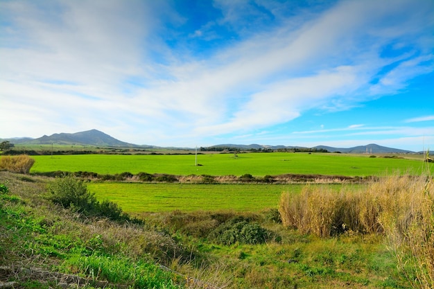 Prado verde bajo un cielo azul en Cerdeña Italia