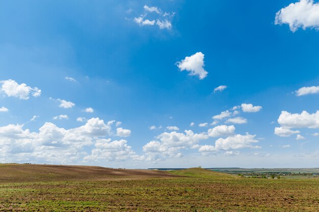 Prado verde bajo un cielo azul con nubes Hermosa naturaleza, paisaje