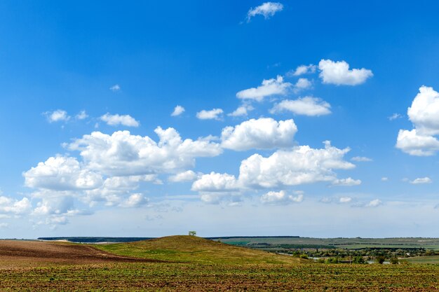 Prado verde bajo un cielo azul con nubes.