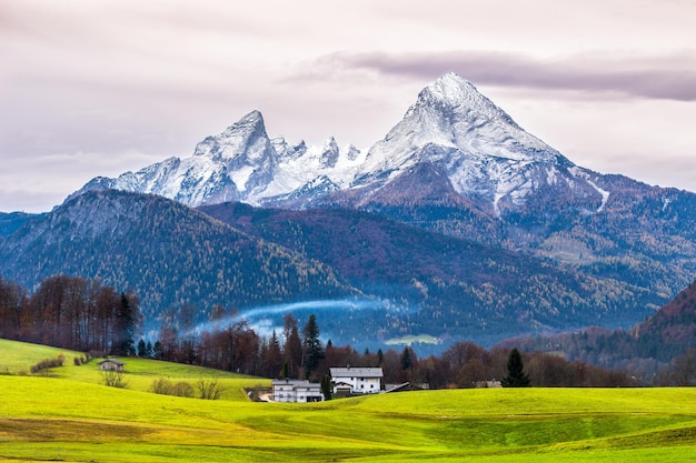 Prado verde e montanha Watzmann coberta de neve em um fundo. Alpes bávaros. Alemanha