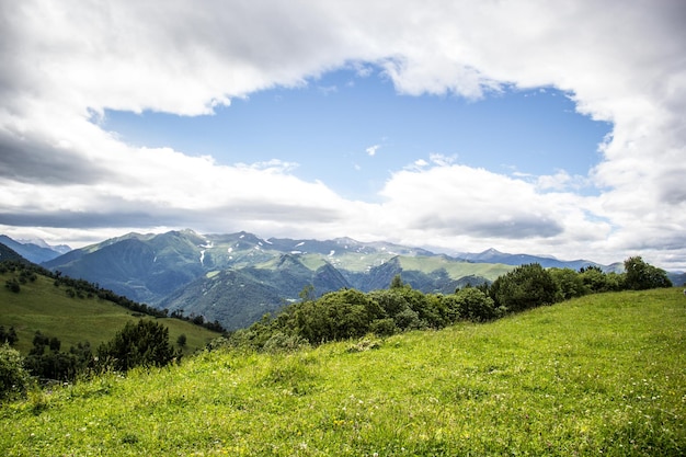 Prado verde e paisagem de montanha