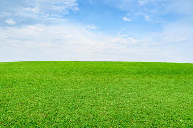 Foto prado verde y fondo de cielo azul. paisaje natural con campo de hierba verde.