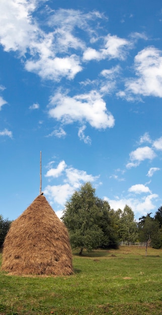 Prado verde de la montaña del verano con la pila de heno y el cielo azul alto con nubes lanudas (pueblo de Slavske, Mts de los Cárpatos, Ucrania). Imagen compuesta vertical de dos disparos.