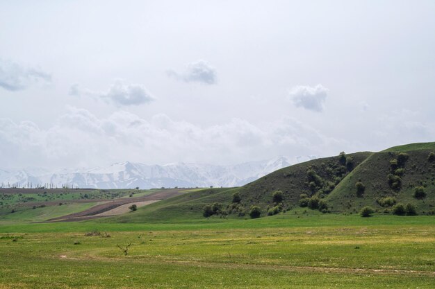 prado verde na primavera no contexto das montanhas com um céu nublado