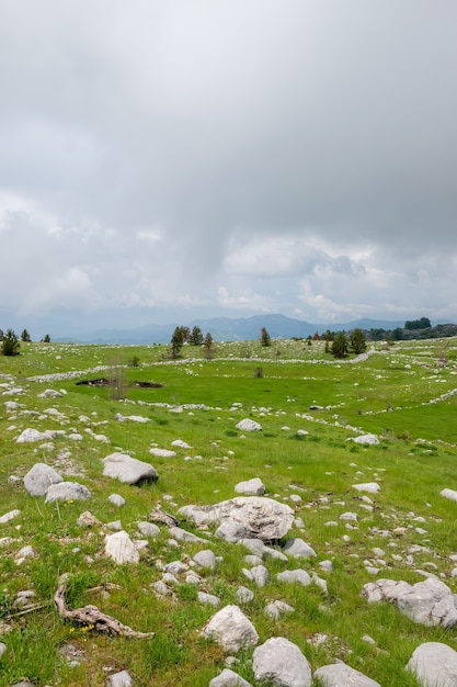 Un prado verde pedregoso entre las montañas en tiempo nublado.