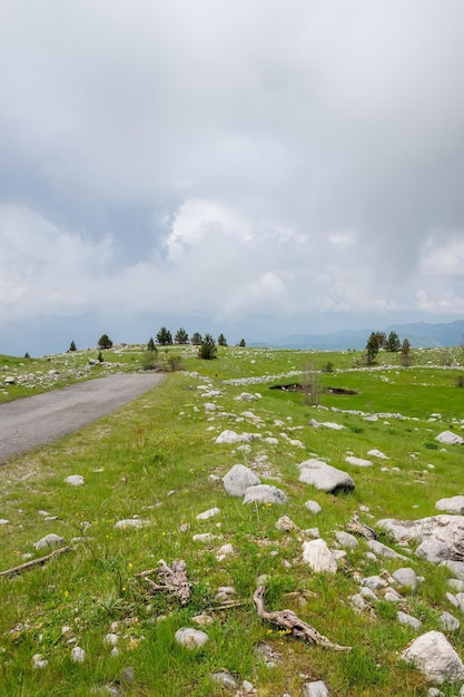 Un prado verde pedregoso entre las montañas en tiempo nublado