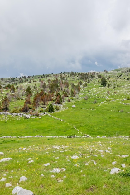 Un prado verde pedregoso entre las montañas en tiempo nublado