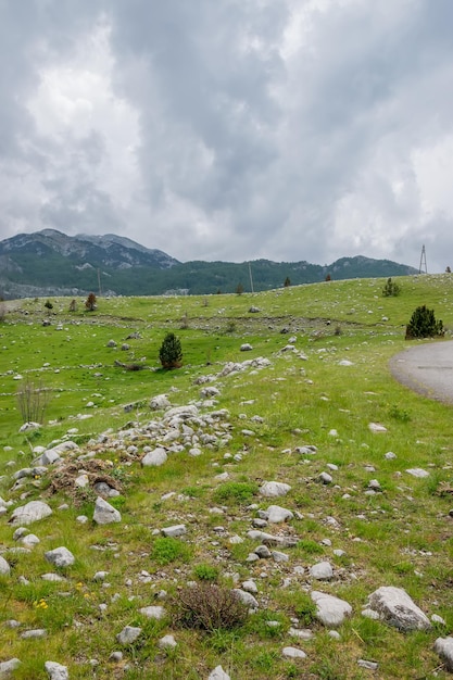 Un prado verde pedregoso entre las montañas en tiempo nublado