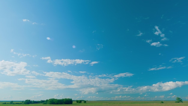 Prado verde de primavera con cielo azul y bosque bosque verde visto en la distancia en la línea del horizonte