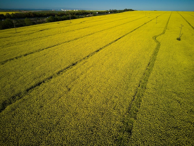 Prados com uma planta em um vale com campos no contexto do céu diurno na Bulgária