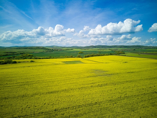 Prados com uma planta em um vale com campos no contexto do céu diurno na Bulgária