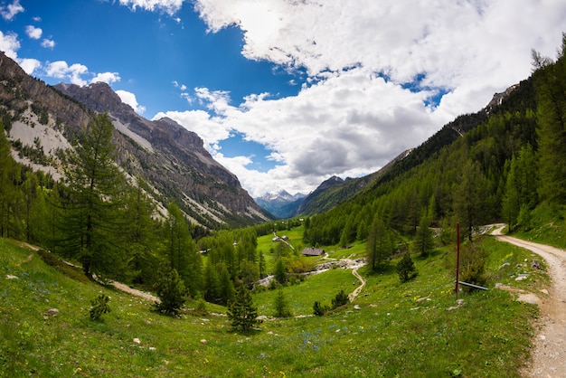 prados de cruzamento de estrada rural, montanhas e floresta na paisagem alpina cênica e céu temperamental