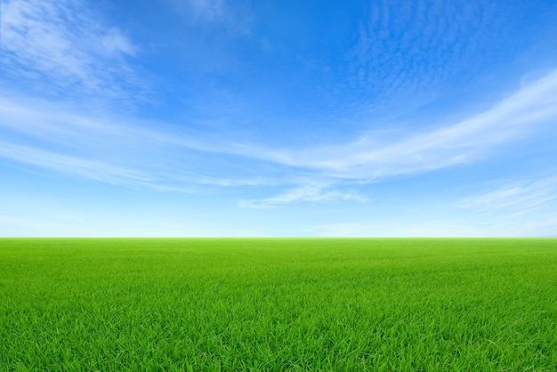 Prados em declive verdes com fundo de céu azul e nuvens.