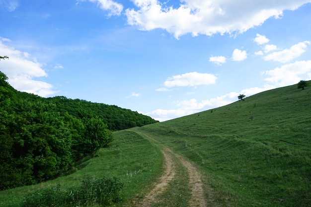 Prados de hierba y colinas boscosas un hermoso paisaje con la cresta de una montaña en la distancia bajo un cielo azul