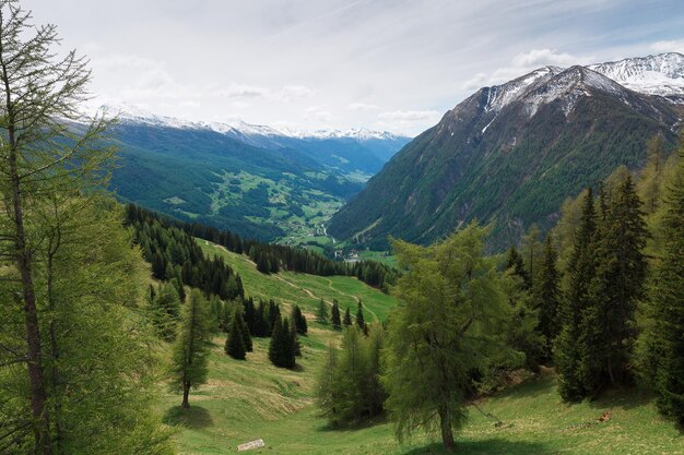 Prados y montañas de los Alpes austríacos