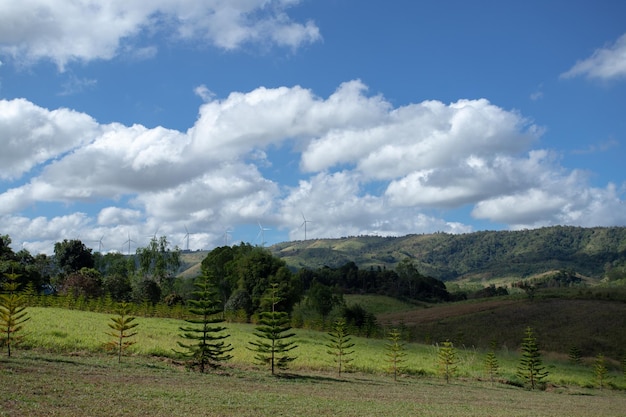 Foto prados verdes com céu azul e fundo de nuvens e fundo de nuvens