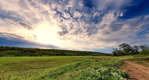 Foto prados verdes e caminho sob um céu azul com nuvens à luz do sol.