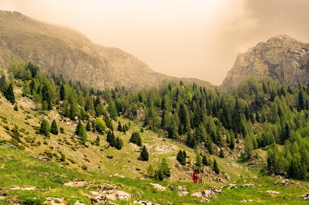 Prados verdes e rochas Floresta de abetos e céu tempestuoso Caminhadas turísticas Tambre Alpago Belluno Itália