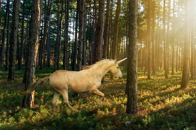 Prächtiges Einhorn in der Natur