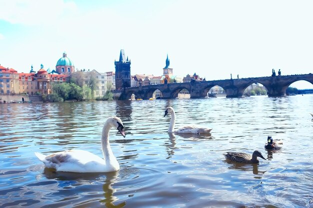 praga pontes rio / vista panorâmica turística capital da república tcheca. Paisagem com pontes sobre o rio vltava em Praga