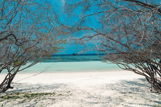 Praia branca na ilha tropical