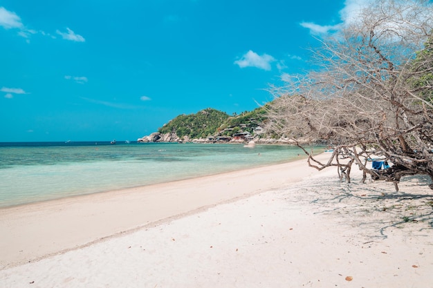 Praia branca na ilha tropical