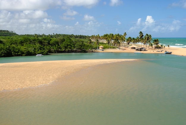 Praia brasileira e angrove na praia da barra de camaratuba perto de joão pessoa paraíba brasil