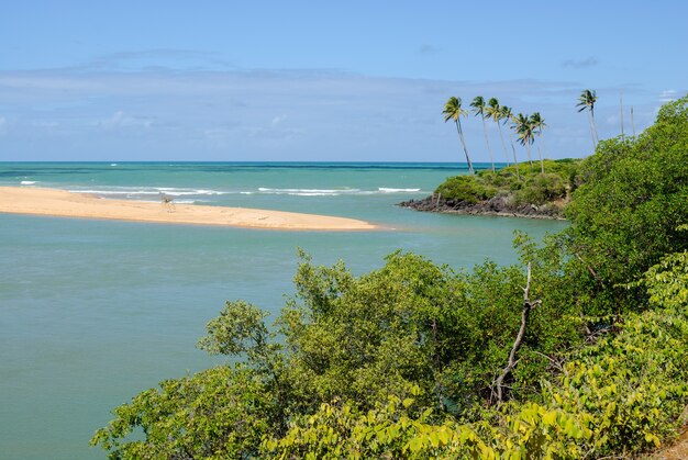 Praia brasileira e angrove na praia da barra de camaratuba perto de joão pessoa paraíba brasil