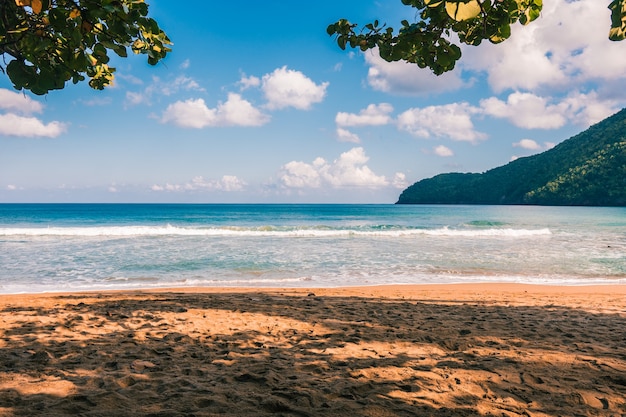 Praia caribenha com palmeiras e ondas em um dia ensolarado