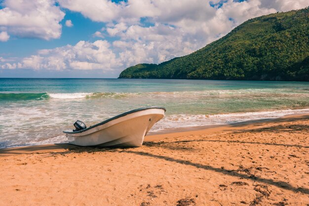 Praia caribenha com palmeiras e ondas em um dia ensolarado