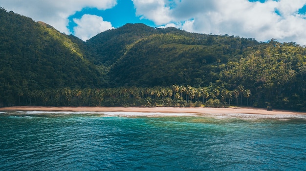 Praia caribenha com palmeiras e ondas em um dia ensolarado