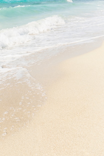 Foto praia com água espumosa