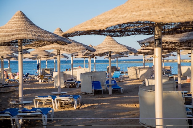 Praia com guarda-sóis e espreguiçadeiras à beira-mar