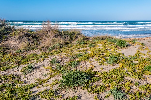 Praia com mar agitado em um dia ensolarado