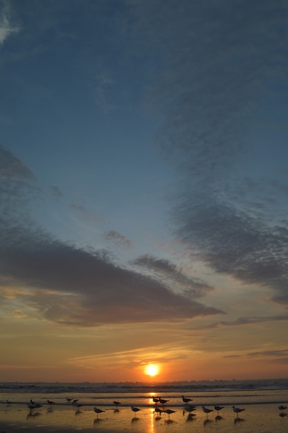 Praia com mar e pôr do sol