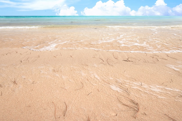 Praia com o oceano azul