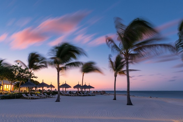 praia com palmeiras balançando na brisa e céu colorido ao pôr do sol no horizonte